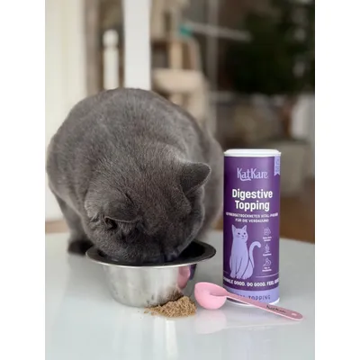 KatKare Vital Topping Schnupperbox Blase & Verdauung