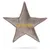 Designed by Lotte Hundespielzeug X-Mas Stern aus Samt grau Designed by Lotte Hundespielzeug X-Mas Stern aus Samt grau
