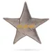Designed by Lotte Hundespielzeug X-Mas Stern aus Samt grau
