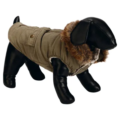 Designed by Lotte Hundemantel Philos grün Designed by Lotte Hundemantel Philos grün