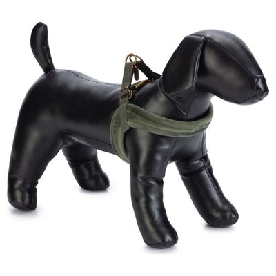 Designed by Lotte Hundegeschirr Velura grün