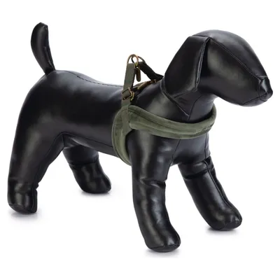 Designed by Lotte Hundegeschirr Velura grün Designed by Lotte Hundegeschirr Velura grün