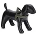 Designed by Lotte Hundegeschirr Velura grün