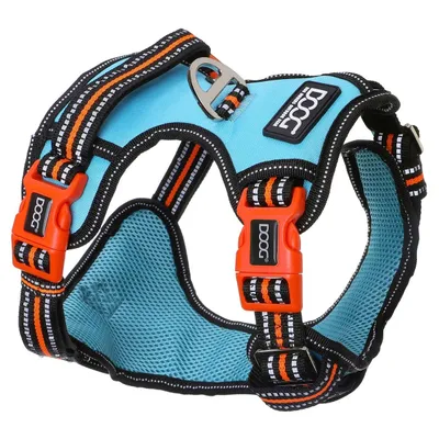 DOOG Neotech Geschirr Beethoven aqua/orange DOOG Neotech Geschirr Beethoven aqua/orange