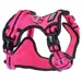 DOOG Neotech Geschirr Lady pink/grau