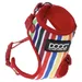 DOOG Neopren Geschirr Scooby multi-color stripped