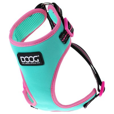 DOOG Neopren Geschirr Rin Tin Tin grün/pink