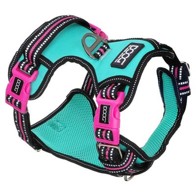 DOOG Neotech Geschirr Rin Tin Tin grün/pink
