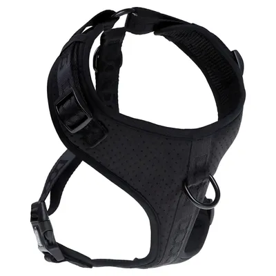 DOOG Neosport Geschirr schwarz DOOG Neosport Geschirr schwarz