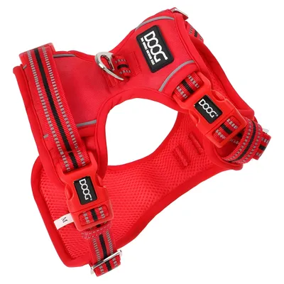 DOOG Neotech Geschirr rot DOOG Neotech Geschirr rot