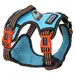 DOOG Neotech Geschirr Beethoven aqua/orange
