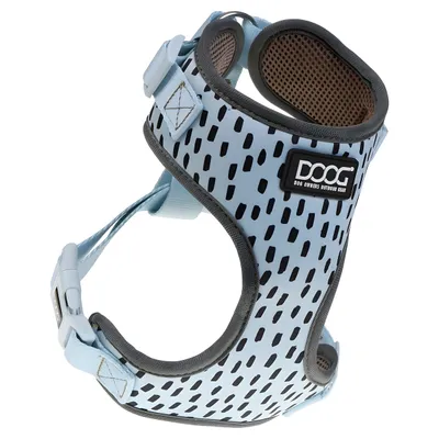 DOOG Neopren Geschirr Dash blau/grau DOOG Neopren Geschirr Dash blau/grau