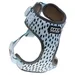 DOOG Neopren Geschirr Dash blau/grau