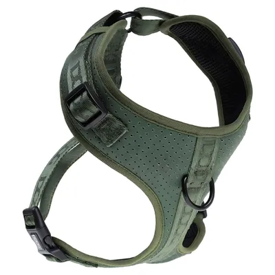 DOOG Neosport Geschirr grün DOOG Neosport Geschirr grün
