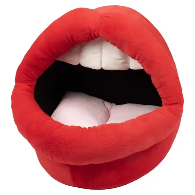 Coockoo Katzenhaus Meow Mouth rot Coockoo Katzenhaus Meow Mouth rot