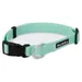 PAIKKA Halsband Glow Collar cabbage
