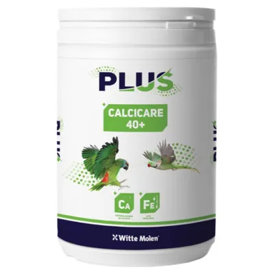 Witte Molen Calcicare 500 g Witte Molen Calcicare 500 g
