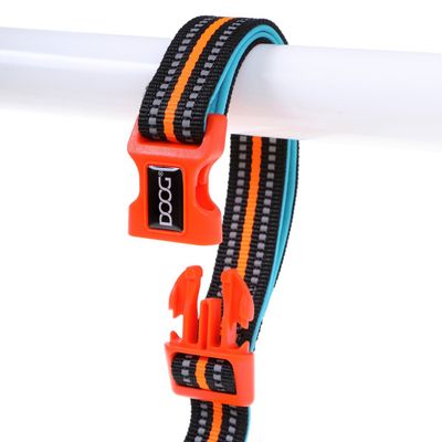 DOOG Neon Leine CLIP-IT Beethoven aqua/orange