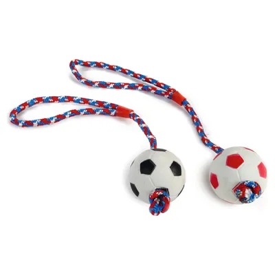 Beeztees Hundespielzeug Softball am Seil Beeztees Hundespielzeug Softball am Seil
