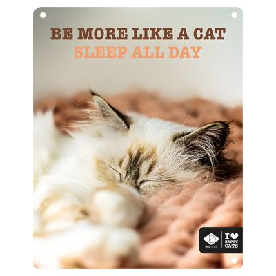 D&D Schild I Love Happy Cats „Sleep all day“