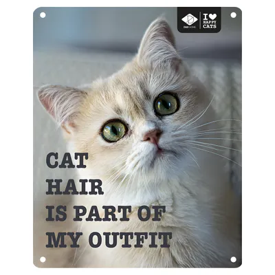 D&D Schild I Love Happy Cats „Cat hair“ D&D Schild I Love Happy Cats „Cat hair“