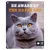 D&D Schild I Love Happy Cats „Be aware“ D&D Schild I Love Happy Cats „Be aware“