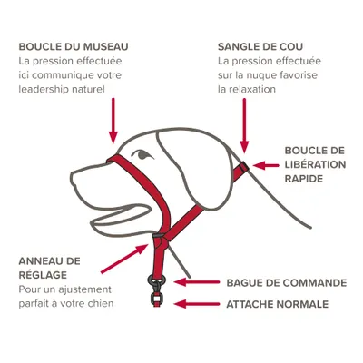 Beaphar Gentle Leader - Collier de dressage anti-traction pour chien
