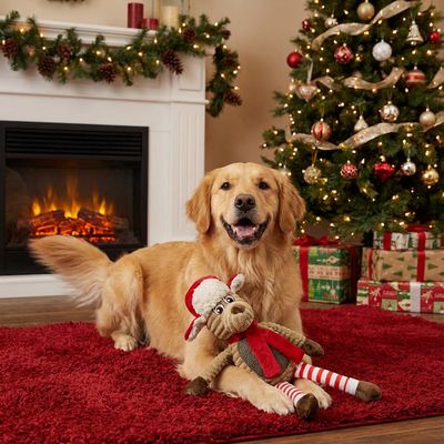 Pettimania Hundespielzeug X-Mas Weihnachtshund aus Plüsch