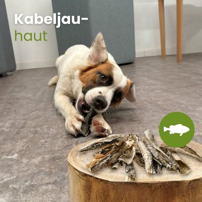 Kauartikel.com Kabeljau-Haut, geschnitten