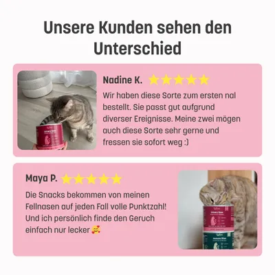 KatKare Cat Treats Urinary Ease KatKare Cat Treats Urinary Ease