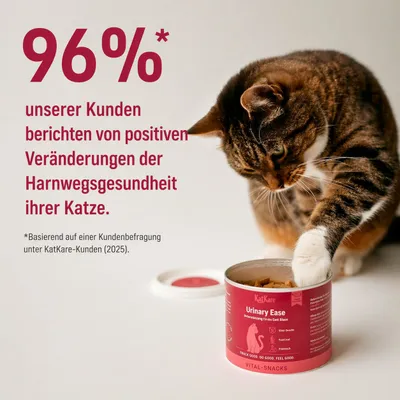 KatKare Cat Treats Urinary Ease KatKare Cat Treats Urinary Ease