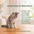 KatKare Cat Treats Kaninchen Essential KatKare Cat Treats Kaninchen Essential