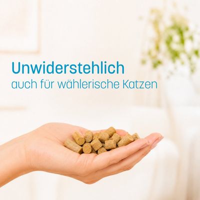 KatKare Cat Treats Weißfisch Essential