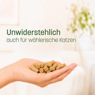 KatKare Cat Treats Kaninchen Essential