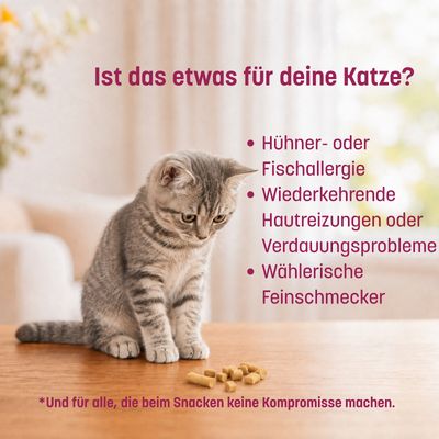KatKare Cat Treats Perlhuhn Essential