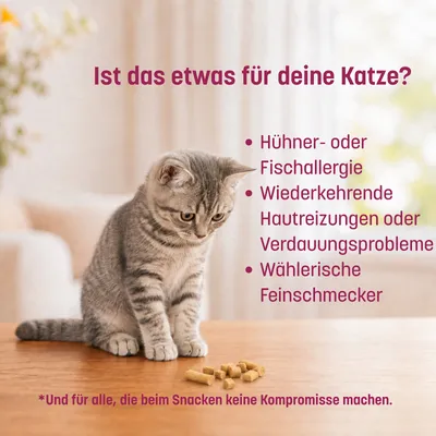 KatKare Cat Treats Perlhuhn Essential KatKare Cat Treats Perlhuhn Essential