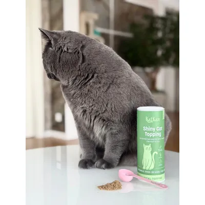 KatKare Vital Topping Shiny Cat KatKare Vital Topping Shiny Cat
