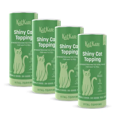 KatKare Vital Topping Shiny Cat KatKare Vital Topping Shiny Cat