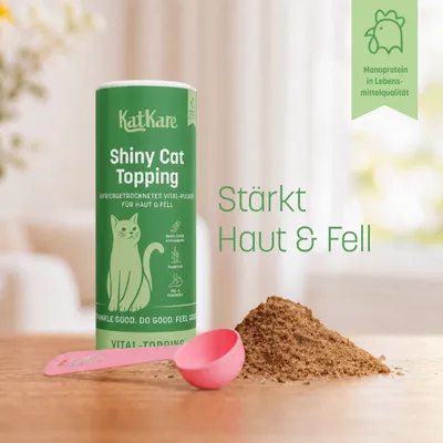KatKare Vital Topping Shiny Cat KatKare Vital Topping Shiny Cat