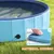 PawHut Piscina para Perro PawHut Piscina para Perro