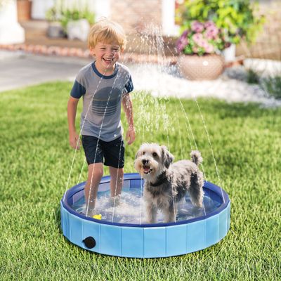 PawHut Piscina para Perro