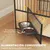 PawHut Jaula para Perro 80x56x76.5 cm Roble PawHut Jaula para Perro 80x56x76.5 cm Roble
