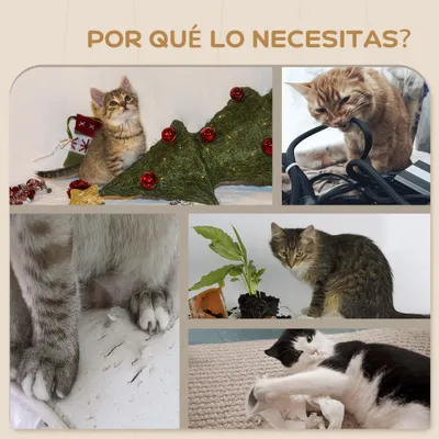 PawHut Estantes para Gato PawHut Estantes para Gato