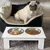 PawHut Comedero Elevado para Perro 44x24x15 cm Blanco PawHut Comedero Elevado para Perro 44x24x15 cm Blanco