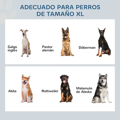 PawHut Comedero para Perro 60x30x41 cm Gris