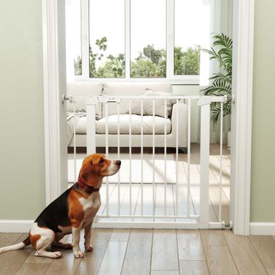 PawHut Barrera Seguridad Perro 97x5x76 cm Blanco