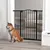 PawHut Barrera para Perro 100x3.5x94 cm Negro PawHut Barrera para Perro 100x3.5x94 cm Negro
