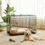 PawHut Jaula de Perro 121x76.5x81 cm Negro