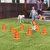 PawHut Set Agilidad Perro 80x22.5X30 cm Naranja