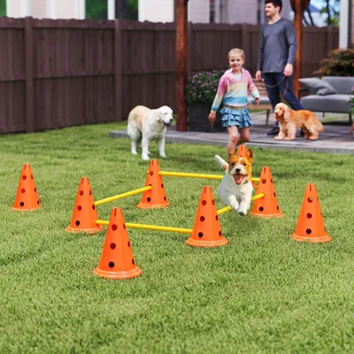 PawHut Set Agilidad Perro 80x22.5X30 cm Naranja